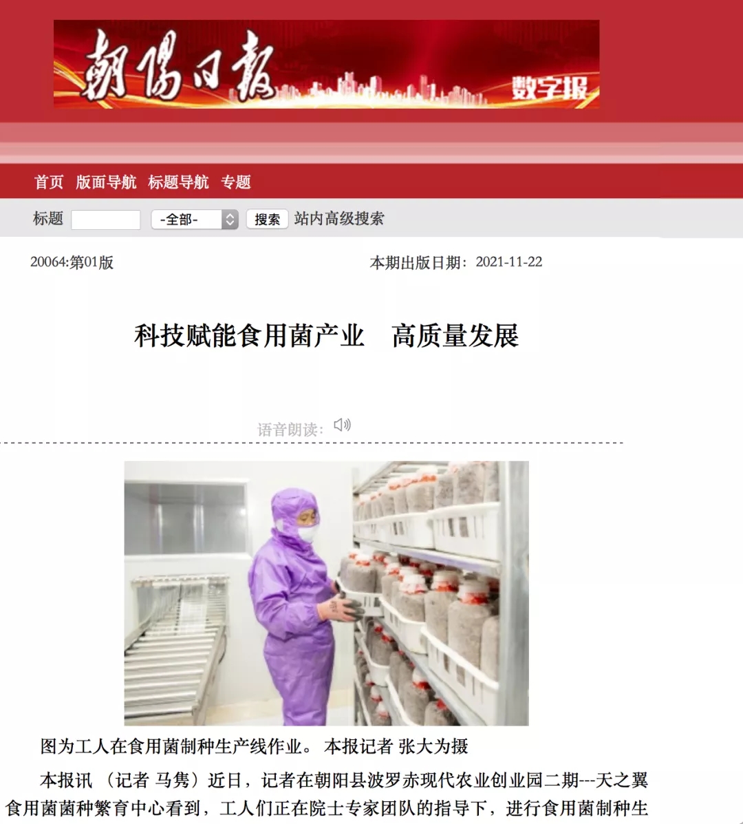 640.webp.jpg 640.webp.jpg