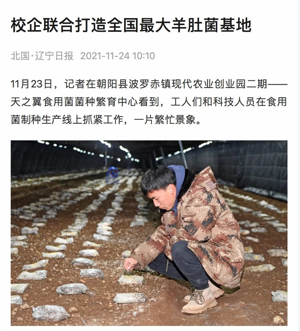 640 (1).webp.jpg 640 (1).webp.jpg